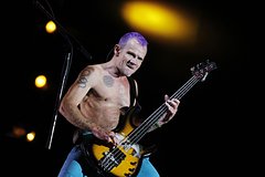 Басист Red Hot Chili Peppers предложил пожить в своем доме