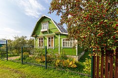 Дачникам посоветовали развесить на деревьях желтые ленты