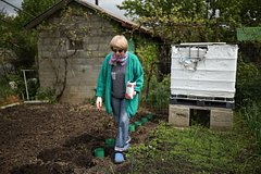 Российских дачников предупредили о популярной схеме мошенничества