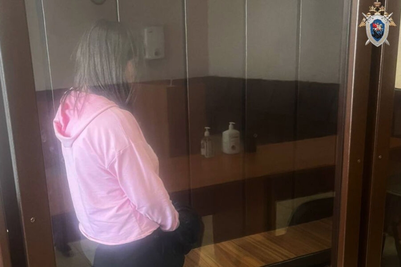 В Москве суд арестовал главу запрещенной китайской секты «Фалуньгун» Миненкову 