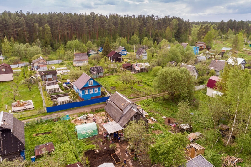 Срубил дерево — заплати штраф. Когда вырубка на участке может стать уголовным делом 