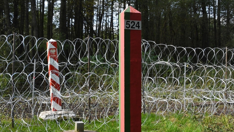 Польша провоцирует задержки на границе, заявили в Белоруссии