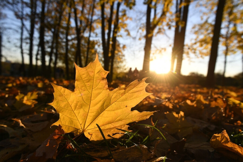 22 сентября — какой сегодня праздник? Что отмечают в этот день в России и мире 