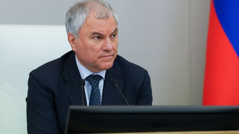 Меркель хотела бы, чтобы России не было, заявил Володин