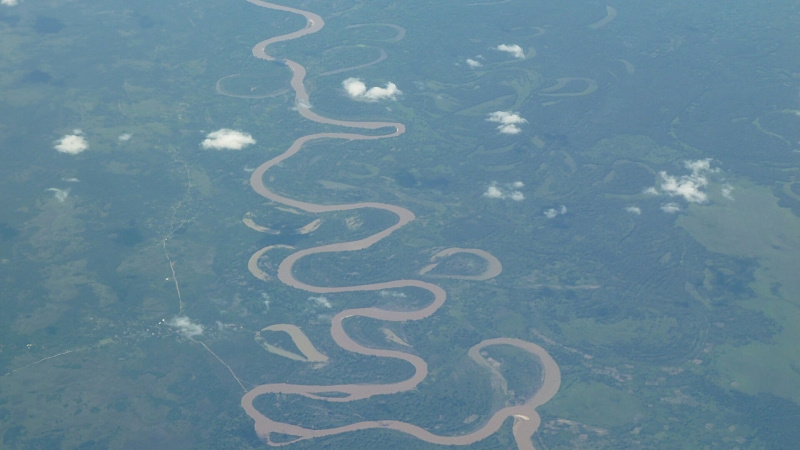 В Гондурасе заявили о фальсификации итогов выборов президента